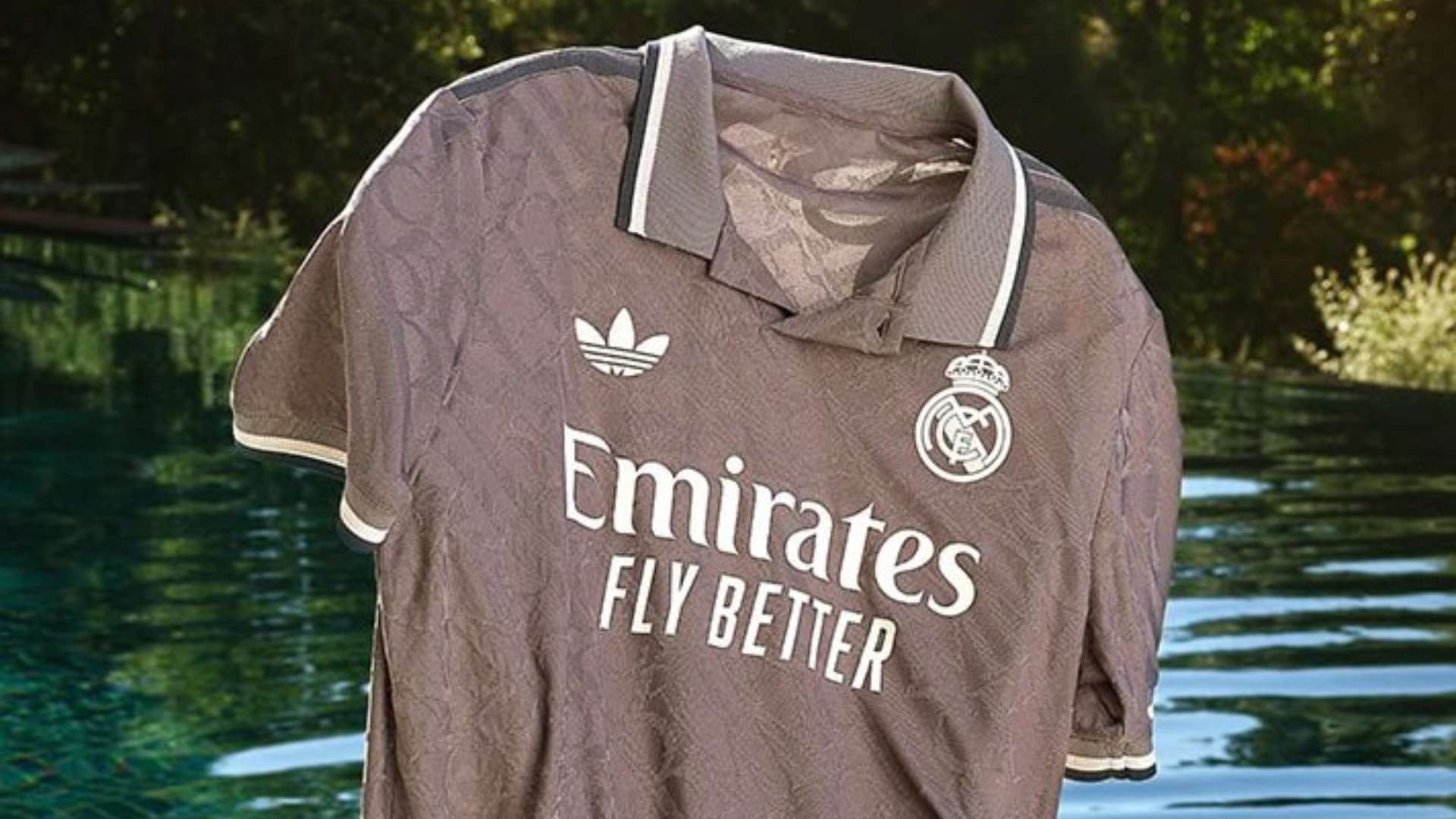 岁的年轻球 岁的年轻球